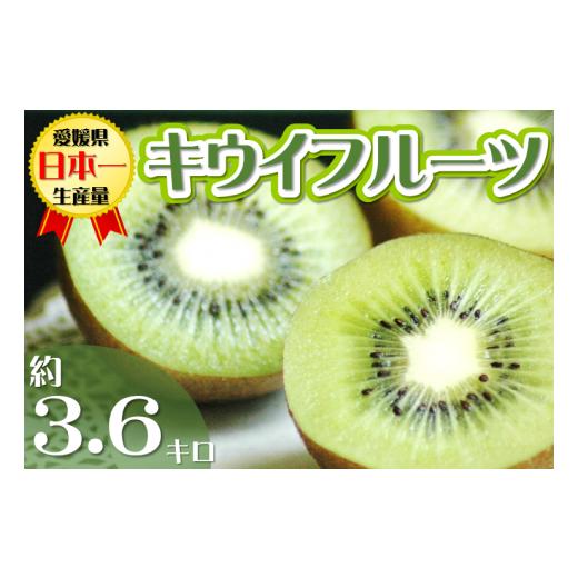 ふるさと納税 愛媛県 今治市 今治産　キウイフルーツ　L〜M　30〜33個　グリーンキウイ　JA厳選...