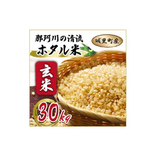 ふるさと納税 茨城県 城里町 那珂川の清流ホタル米　玄米30kg 検査1等米令和4年産コシヒカリ　(...