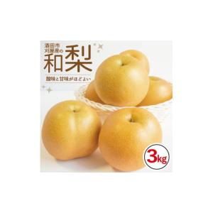 ふるさと納税 梨 山形県 酒田市 刈屋梨 和梨 (品種おまかせ)　約3kg SA2919