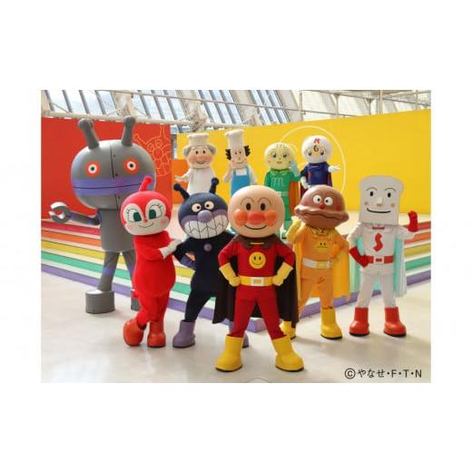 ふるさと納税 入場券・優待券 福岡県 福岡市  2枚セット 福岡アンパンマンこどもミュージアムinモ...