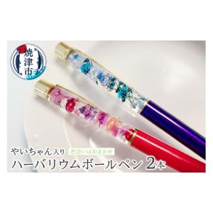 ふるさと納税 文房具・玩具 ボールペン 静岡県 焼津市 a10-823　ハーバリウム ボールペン やいちゃん