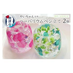 ふるさと納税 雑貨・日用品 静岡県 焼津市 a10-826　ハーバリウム ペン立て やいちゃん 2つ セット