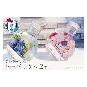 ふるさと納税 雑貨・日用品 静岡県 焼津市 a...の詳細画像1