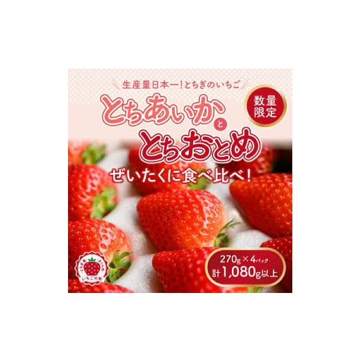 ふるさと納税 いちご 栃木県 さくら市 新旧2種食べ比べセット（とちおとめ、とちあいか）270g×4...