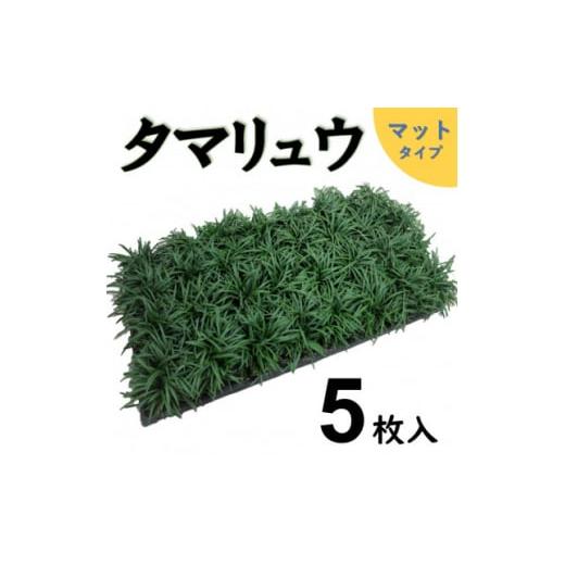 ふるさと納税 三重県 鈴鹿市 厳選タマリュウ5枚マット＜三重県産＞タマリュウ専門店【1278382】