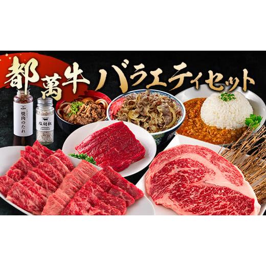 ふるさと納税 牛肉 セット 宮崎県 新富町 赤身主体の黒毛和牛 都萬牛 バラエティセット E180