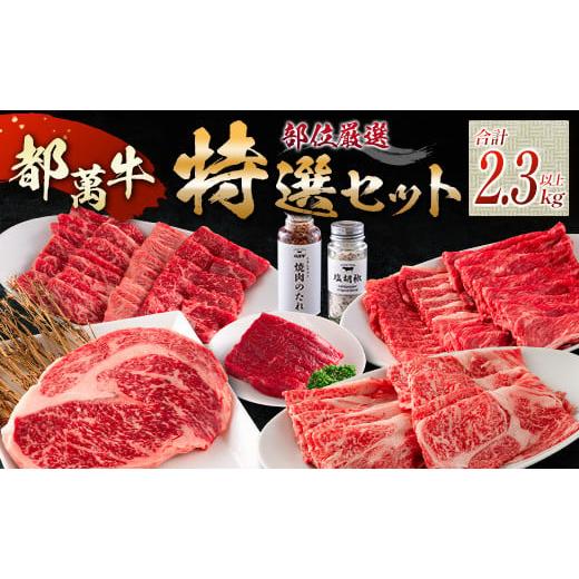 ふるさと納税 牛肉 セット 宮崎県 新富町 赤身主体の黒毛和牛 都萬牛 部位厳選の特選セット F11...
