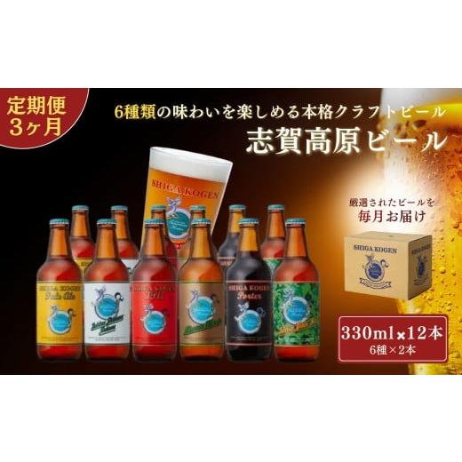 ふるさと納税 ビール 地ビール 長野県 山ノ内町 定期便 3ヶ月 志賀高原ビール12本セット クラフ...