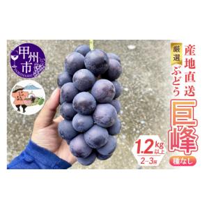 ふるさと納税 宇佐市 料亭やまさ すっぽんの恵み 2袋セット