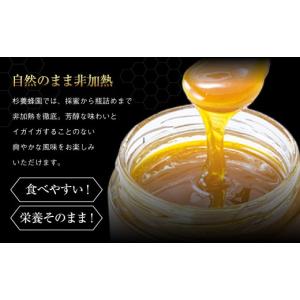 ふるさと納税 加工品等 はちみつ 熊本県 熊本...の詳細画像5