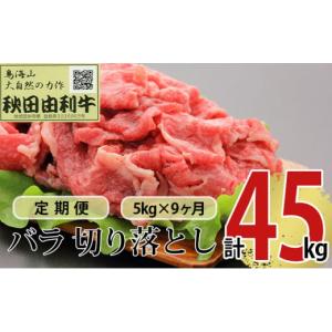 ふるさと納税 牛肉 バラ(カルビ) 秋田県 にかほ市 《定期便》9ヶ月連続 秋田由利牛 バラ切り落とし 5kg（1kg×5パック）