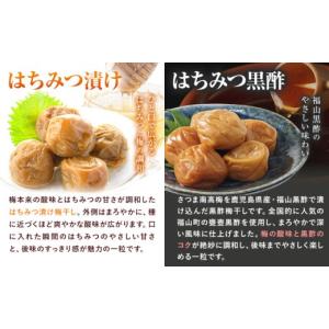 ふるさと納税 加工品等 梅干 鹿児島県 さつま...の詳細画像4