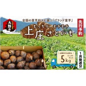 福井県産　上庄さといも 10kg 上庄さといも 10kg 福井県大野市産 上庄里芋 ブランド里芋 さといも