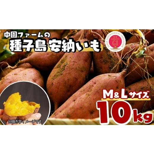 ふるさと納税 野菜類 サツマイモ 鹿児島県 西之表市 中園ファーム 種子島 安納いも ( 生芋 ) ...