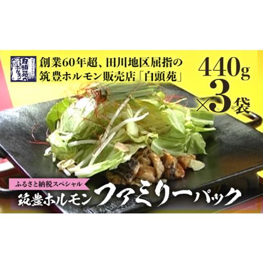 ふるさと納税 福岡県 田川市 ふるさと納税限定仕様　ファミリーパック【味付ホルモン440g×3、自家...