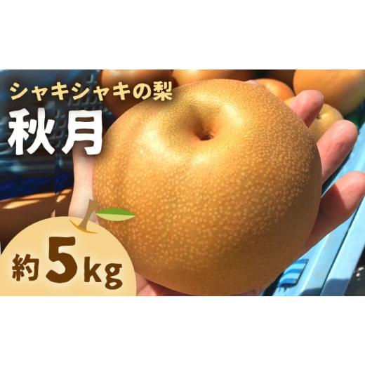 ふるさと納税 長崎県 長与町 【数量限定】秋月（梨）約5kg（14玉前後）ー2024年9月より発送ー...