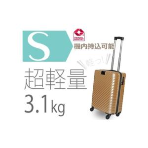 ふるさと納税 カバン 神奈川県 厚木市 TOMAXライトキャリー小型