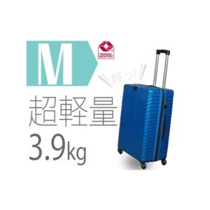 ふるさと納税 カバン 神奈川県 厚木市 TOMAXライトキャリー中型