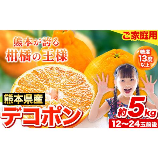 ふるさと納税 みかん・柑橘類 デコポン 熊本県 荒尾市 先行予約 デコポン 5kg 訳あり デコポン...