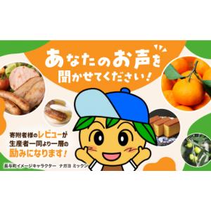 ふるさと納税 加工品等 レトルト 長崎県 長与...の詳細画像5