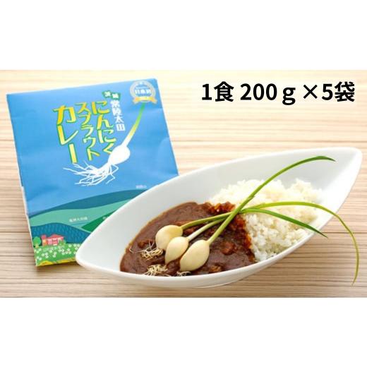 ふるさと納税 茨城県 常陸太田市 日本初 ローズポーク入り にんにくスプラウトカレー（レトルトカレー...