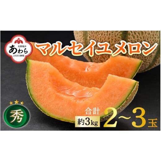 ふるさと納税 福井県 あわら市 【先行予約】マルセイユメロン 約3kg前後《秀品》(5L〜3Ｌ 2〜...