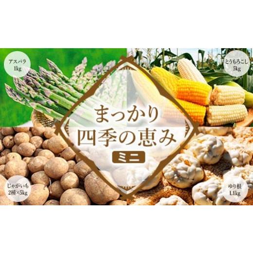 ふるさと納税 北海道 真狩村 【2024年産】まっかり四季の恵み（ミニ）(アスパラ1kg、とうもろこ...