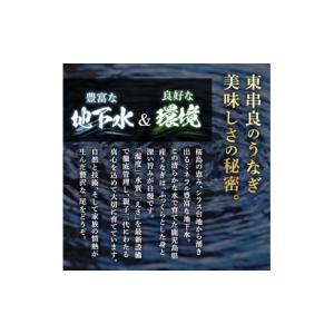ふるさと納税 うなぎ 鹿児島県 東串良町 01...の詳細画像3