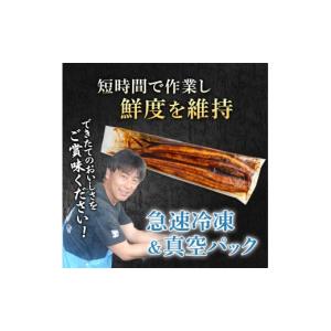 ふるさと納税 うなぎ 鹿児島県 東串良町 01...の詳細画像4