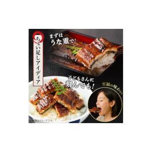ふるさと納税 うなぎ 鹿児島県 東串良町 01...の詳細画像5