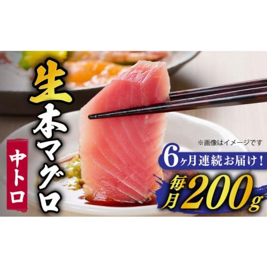 ふるさと納税 長崎県 新上五島町 【全6回定期便】【ながさき水産業大賞受賞の新鮮なマグロを冷蔵でお届...