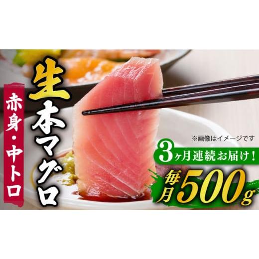 ふるさと納税 長崎県 新上五島町 【全3回定期便】【ながさき水産業大賞受賞の新鮮なマグロを冷蔵でお届...