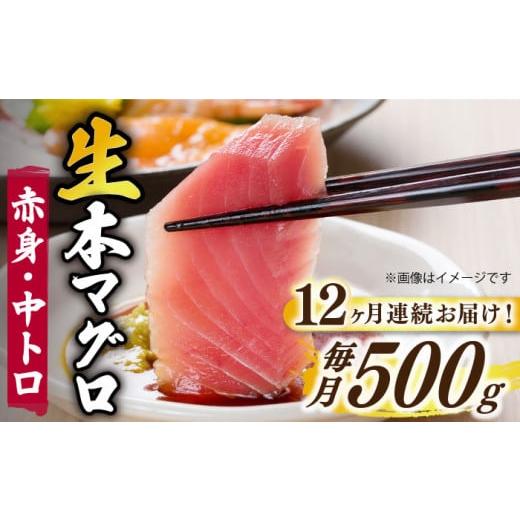 ふるさと納税 長崎県 新上五島町 【全12回定期便】【ながさき水産業大賞受賞の新鮮なマグロを冷蔵でお...