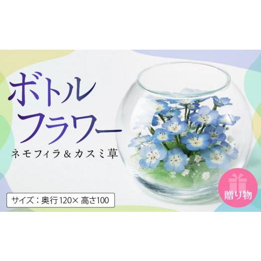 ふるさと納税 福岡県 久留米市 ネモフイラとカスミ草のボトルフラワー