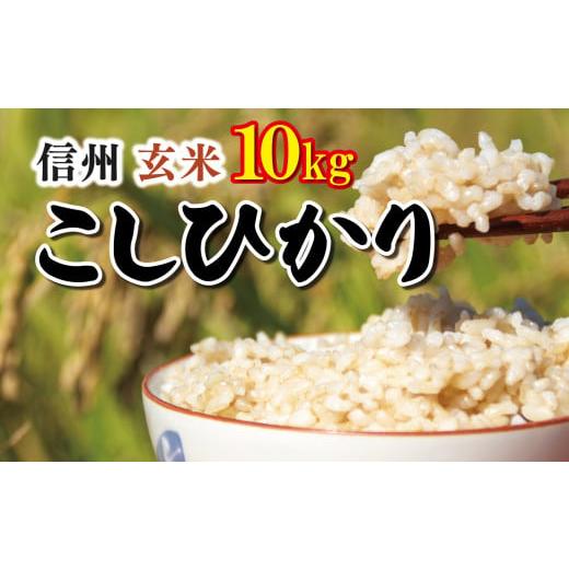 ふるさと納税 長野県 千曲市 信州米 こしひかり ( 玄米 ) 10kg 長野県産 |  令和5年産...