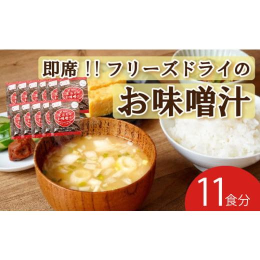 ふるさと納税 愛媛県 愛南町 フリーズドライ 味噌 汁 11食分 麦 塩分 控えめ ヘルシー 食物繊...