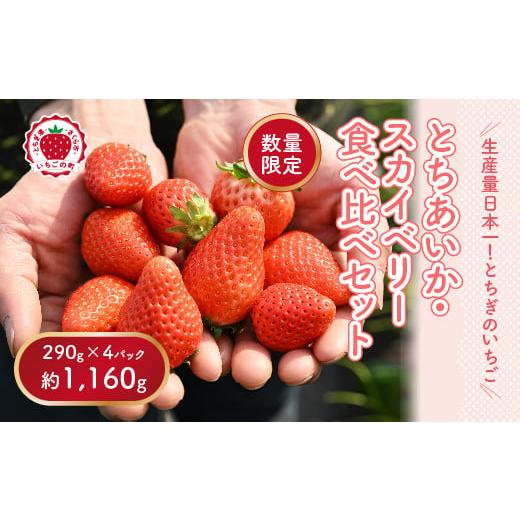 ふるさと納税 いちご 栃木県 さくら市 《数量限定》いちご厳選 さくら市産 とちあいか・スカイベリー...