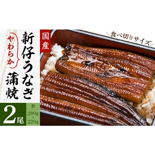 ふるさと納税 茨城県 潮来市 国内産やわらか新仔うなぎ蒲焼2尾　合計200〜220g(食べ切りサイズ...