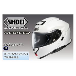 ふるさと納税 スポーツ・アウトドア 茨城県 稲敷...の商品画像