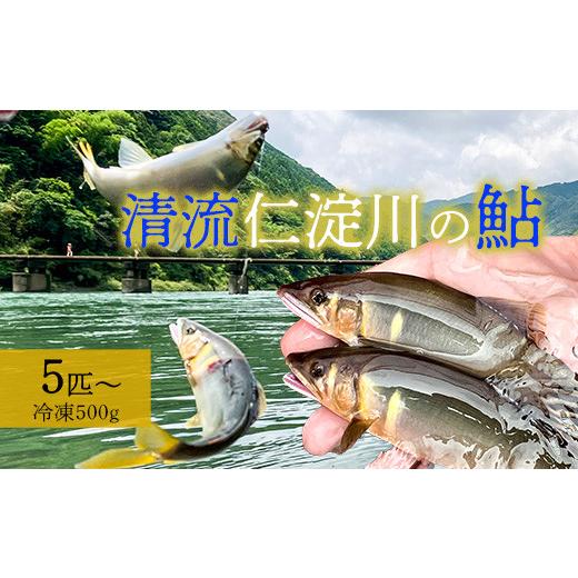 ふるさと納税 高知県 いの町 鮮度にこだわり！仁淀鮎★5尾〜(冷凍500g) ★