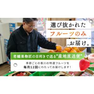 ふるさと納税 果物の詰合せ 香川県 坂出市 《...の詳細画像2