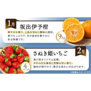 ふるさと納税 果物の詰合せ 香川県 坂出市 《...の詳細画像3