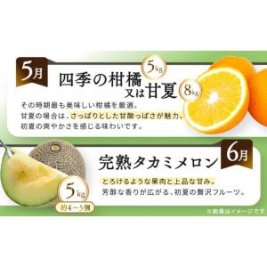 ふるさと納税 果物の詰合せ 香川県 坂出市 《...の詳細画像5