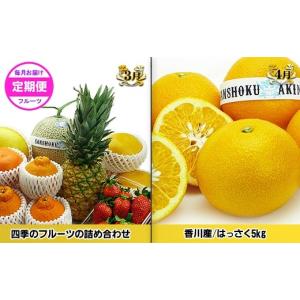 ふるさと納税 果物の詰合せ 香川県 坂出市 《...の詳細画像3
