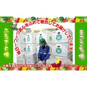 ふるさと納税 果物の詰合せ 香川県 坂出市 定...の詳細画像4