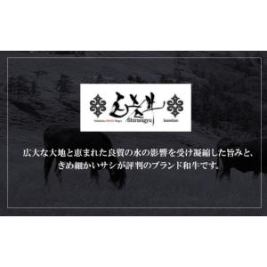 ふるさと納税 牛肉 ハンバーグ 北海道 白老町...の詳細画像5
