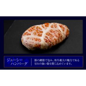 ふるさと納税 牛肉 ハンバーグ 北海道 白老町...の詳細画像3
