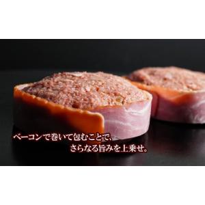 ふるさと納税 牛肉 ハンバーグ 北海道 白老町...の詳細画像5