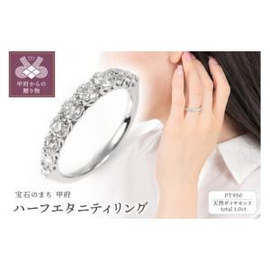 ふるさと納税 山梨県 甲府市 【サイズ：9号】1.0CT ハーフエタニティリング　R3533DI-P2 サイズ：9号｜ふるさとチョイス