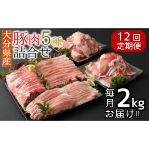 ふるさと納税 豚肉 セット 大分県 臼杵市 12ヶ月定期便：2026年10月配送開始 小分けで便利 大分県産 豚5種詰め合わせ（約2kg×12回） 寄附額見直し 2026年10…